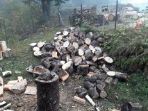 IMG_20201010_125943
