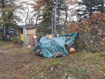 IMG_20201011_114834