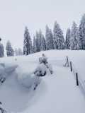 IMG-20210103-WA0002