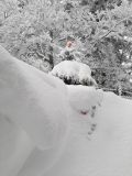 IMG-20210103-WA0004