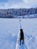 IMG-20210111-WA0000