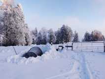IMG-20210111-WA0001