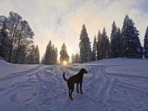 IMG-20210111-WA0002