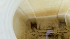 IMG_20210508_103528