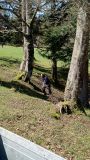 IMG_20210508_112632