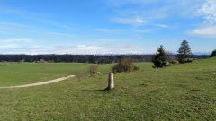IMG_20210508_175754