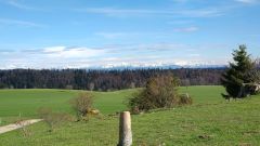 IMG_20210508_175757