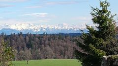 IMG_20210508_175813