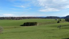 IMG_20210508_180001
