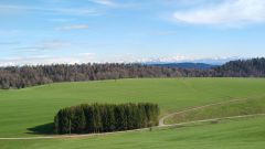 IMG_20210508_180003
